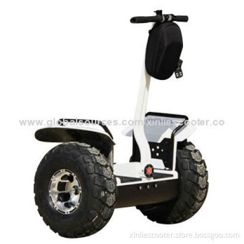 2 Wheels Lightweight Foldable Electric Bike